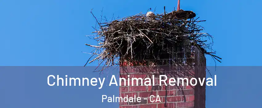 Chimney Animal Removal Palmdale - CA