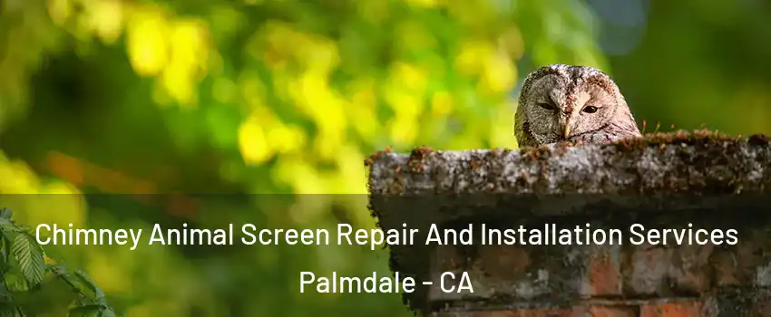 Chimney Animal Screen Repair And Installation Services Palmdale - CA