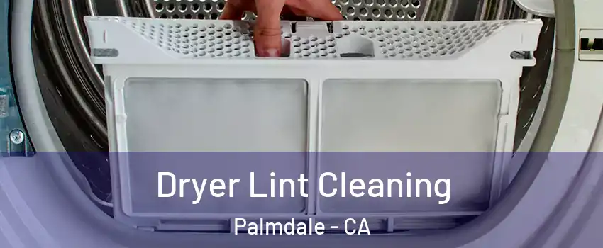 Dryer Lint Cleaning Palmdale - CA