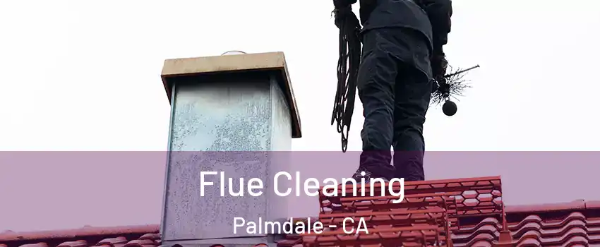 Flue Cleaning Palmdale - CA