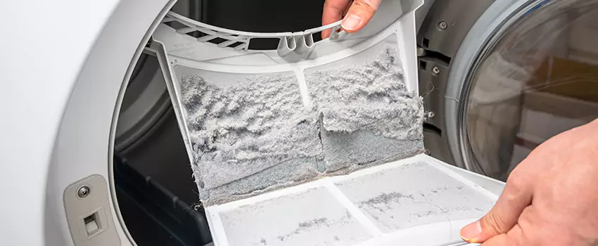 Best Dryer Lint Removal Company in Palmdale, California