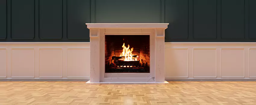 Napoleon Electric Fireplaces Inspection Service in Palmdale, California