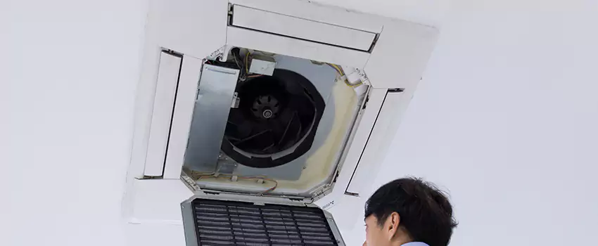 Benefits of Professional Air Duct Cleaning in Palmdale, California