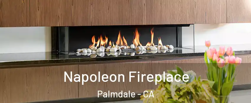 Napoleon Fireplace Palmdale - CA